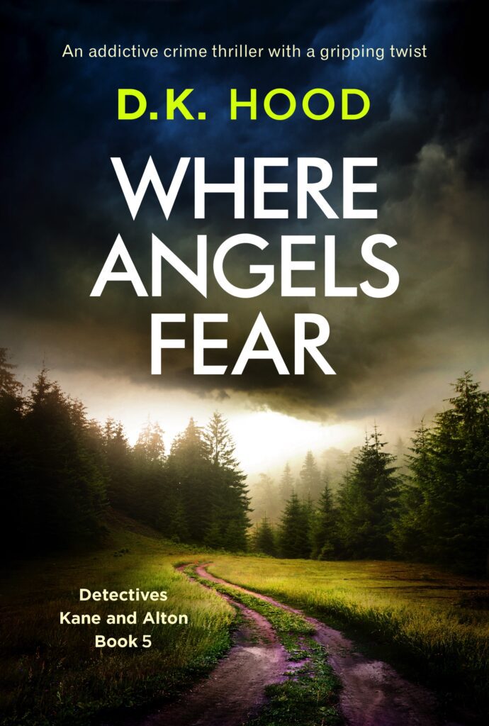 Where Angels Fear, by DK Hood - loopyloulaura