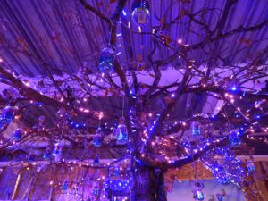 close up of wishing tree and lanterns