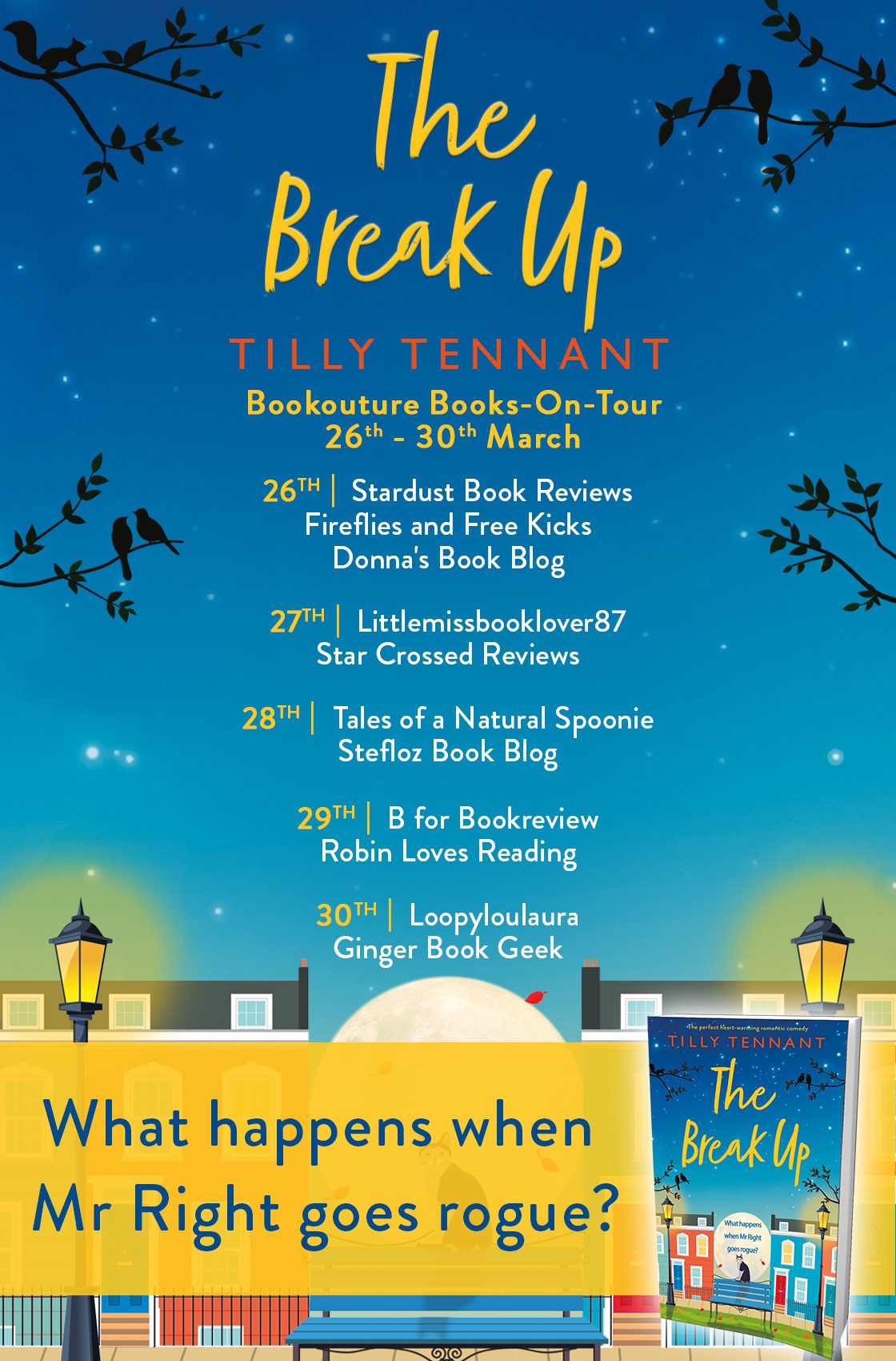 The Break Up blog tour banner