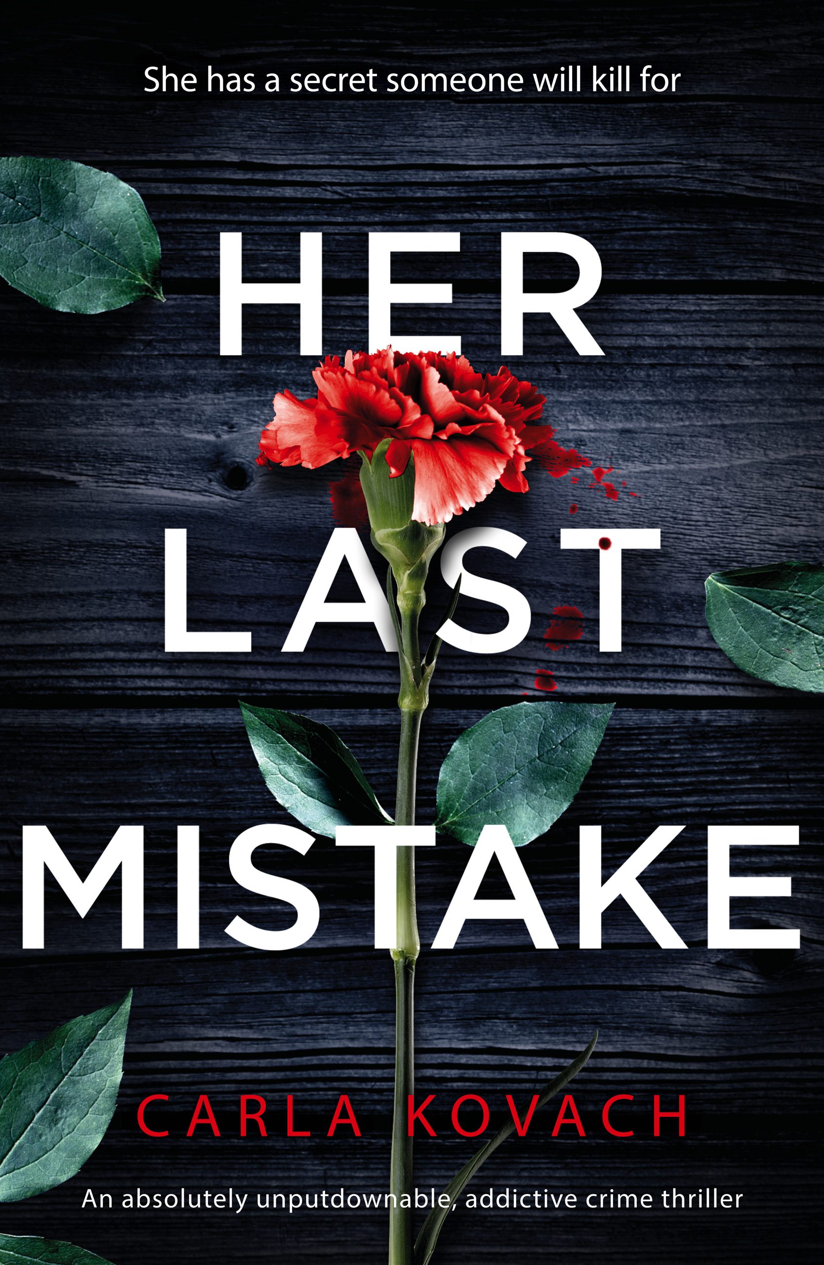 Her Last Mistake book cover