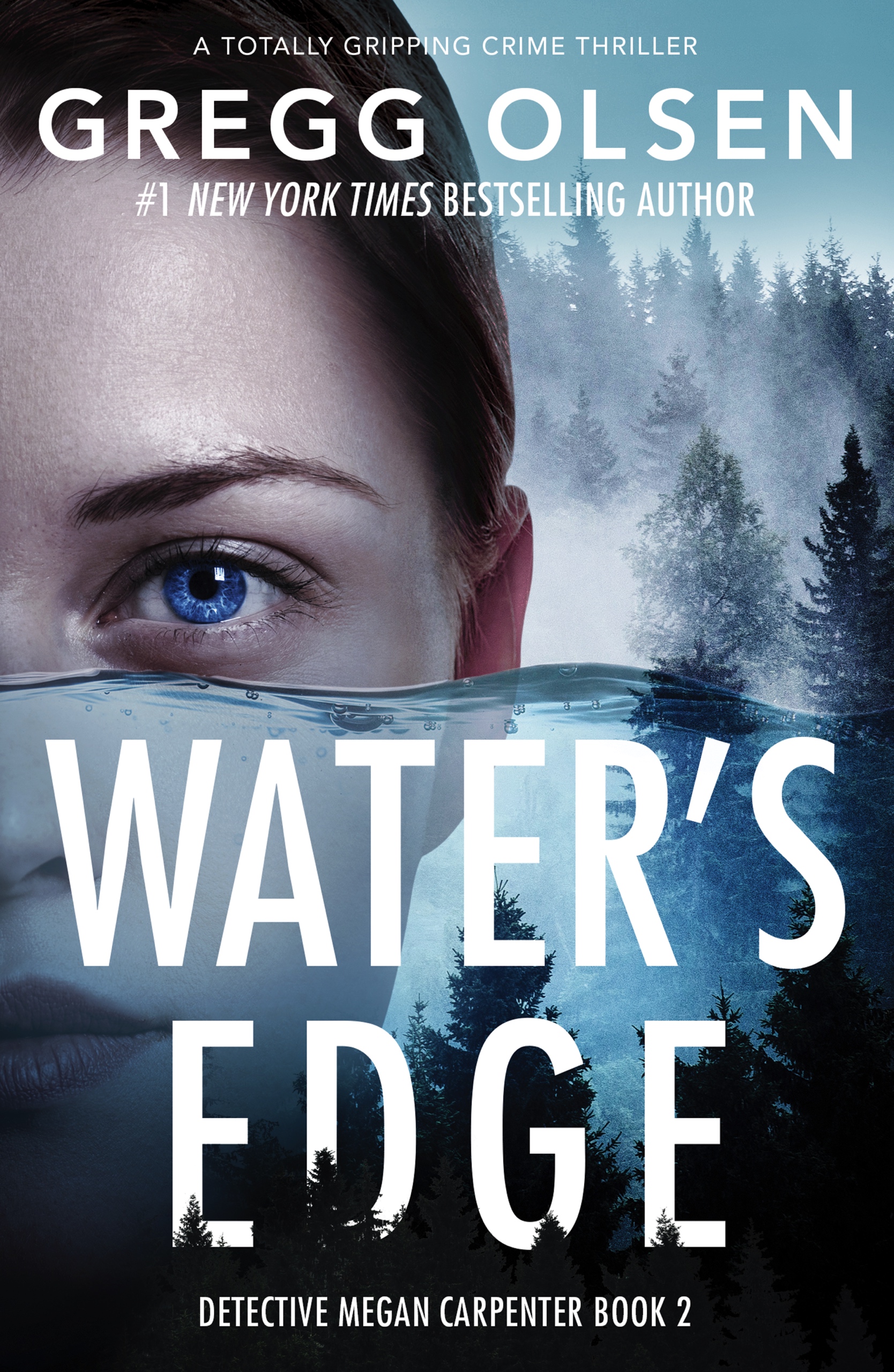 Water's Edge book cover