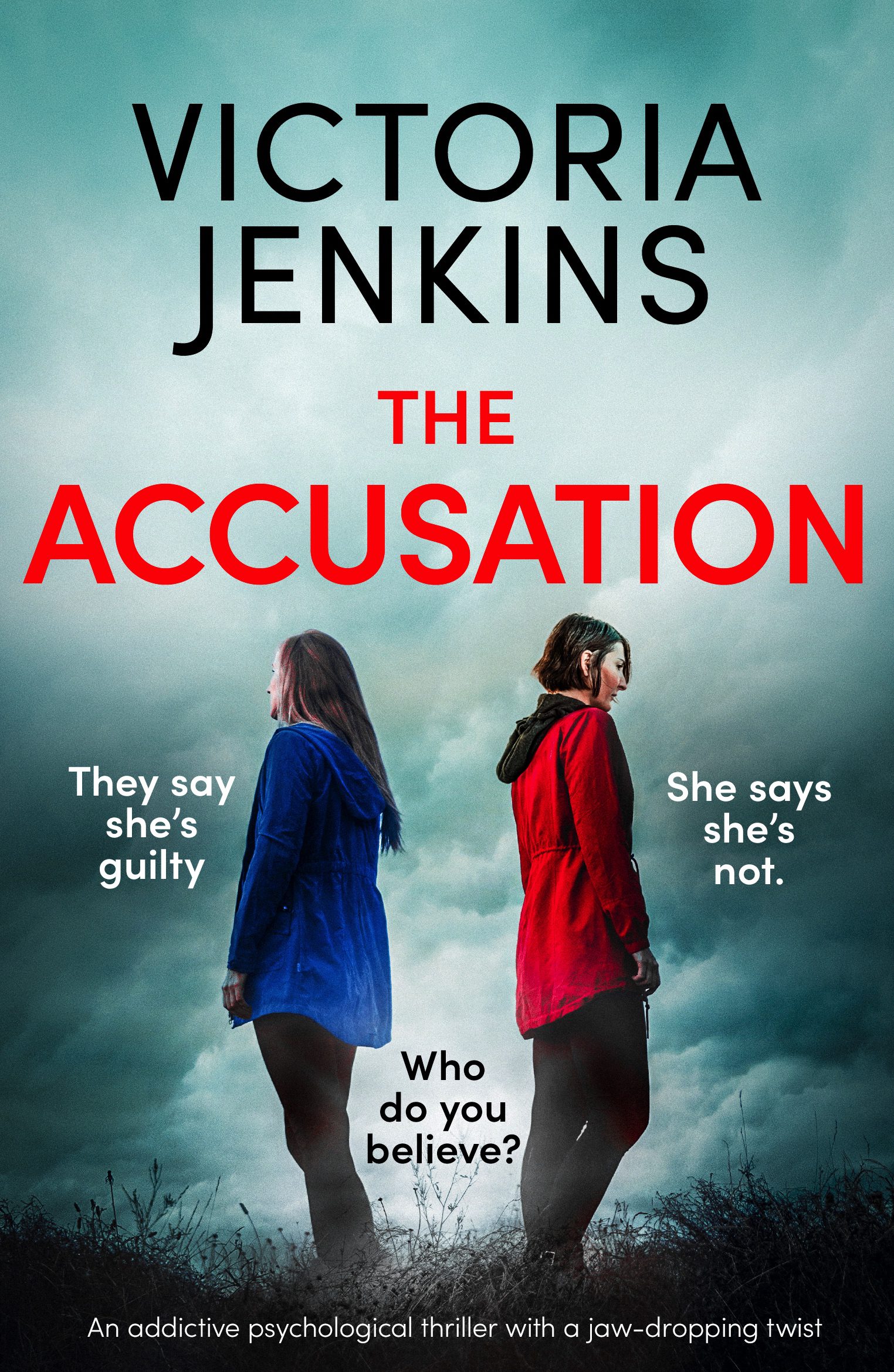 The Accusation book cover