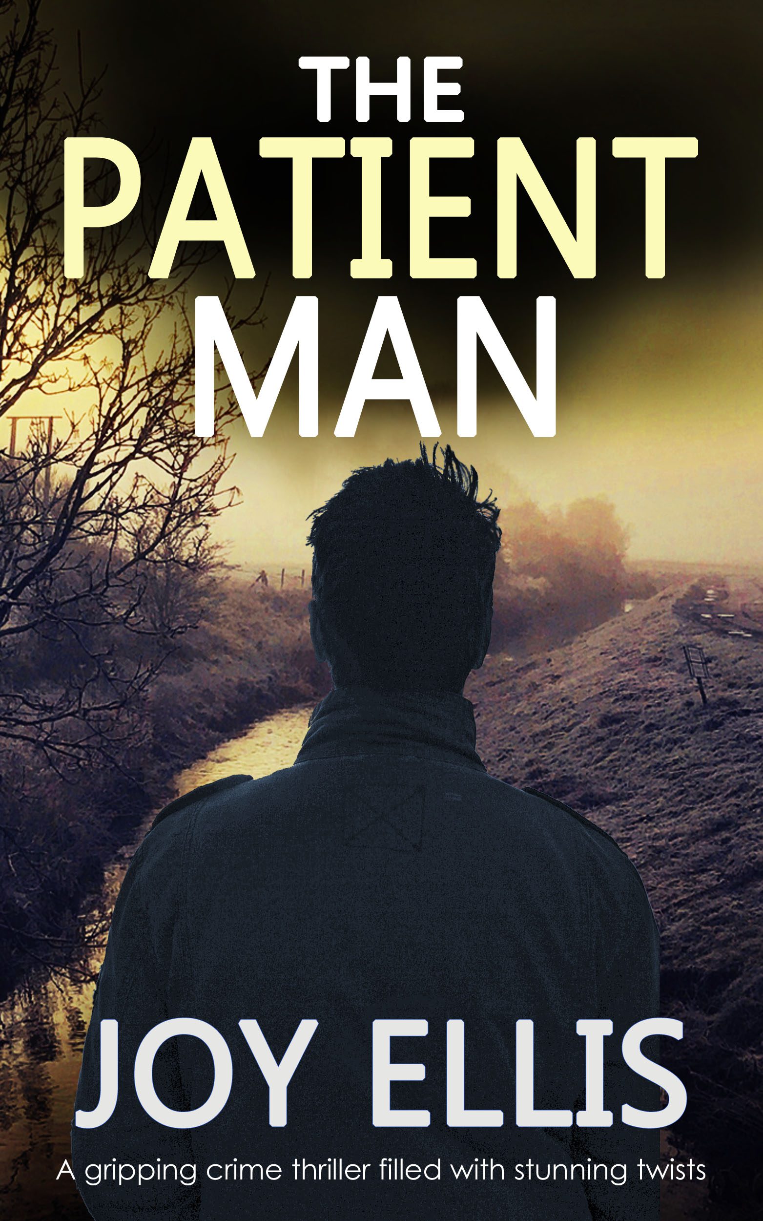 The Patient Man book cover