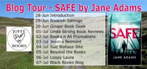 Safe book tour banner