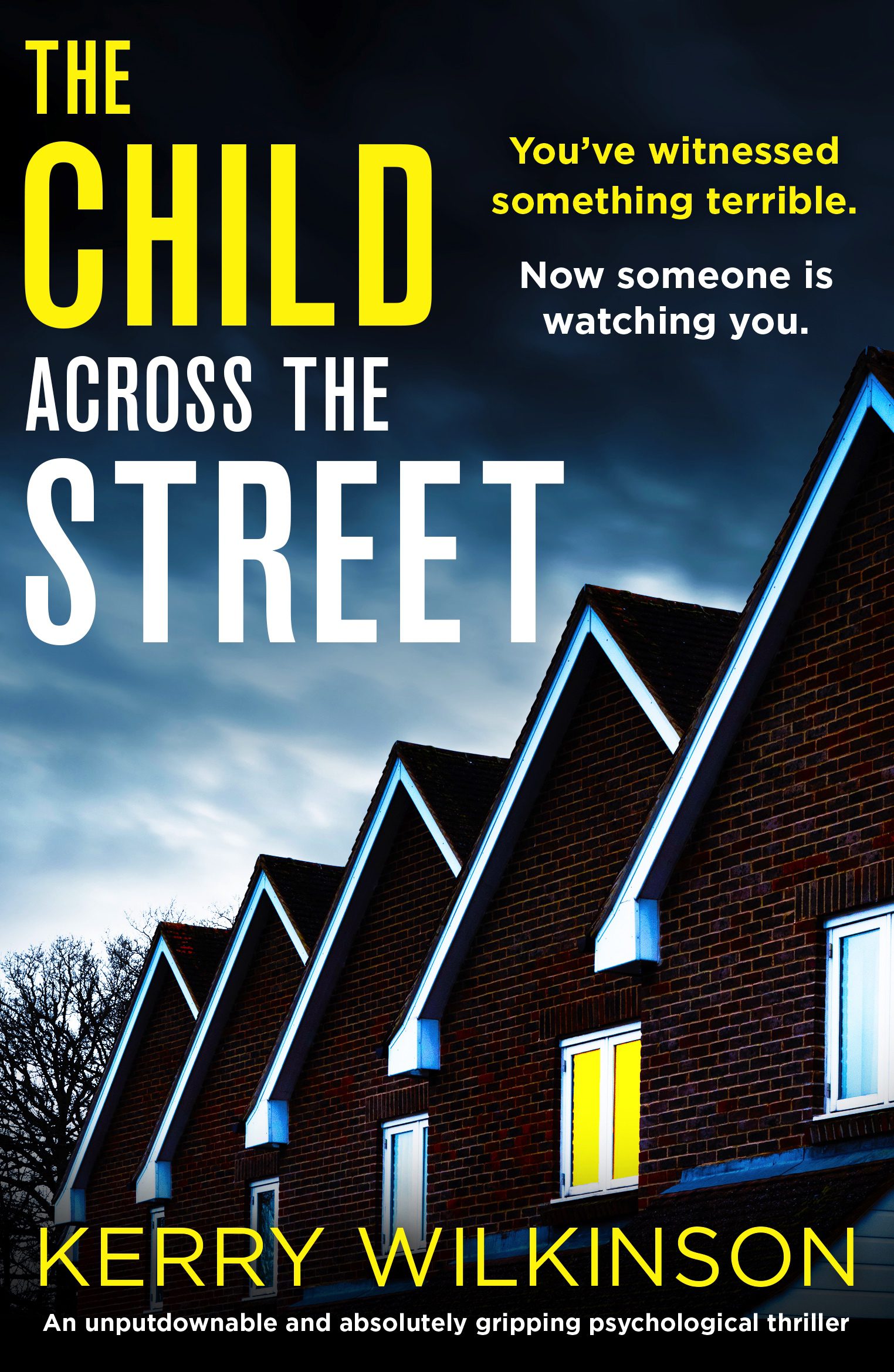 The Child Across The Street book cover