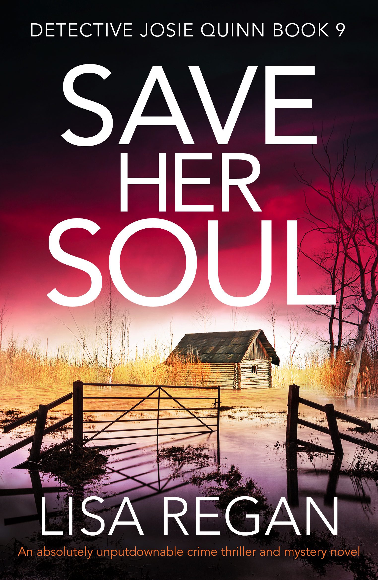 Save Her Soul book cover