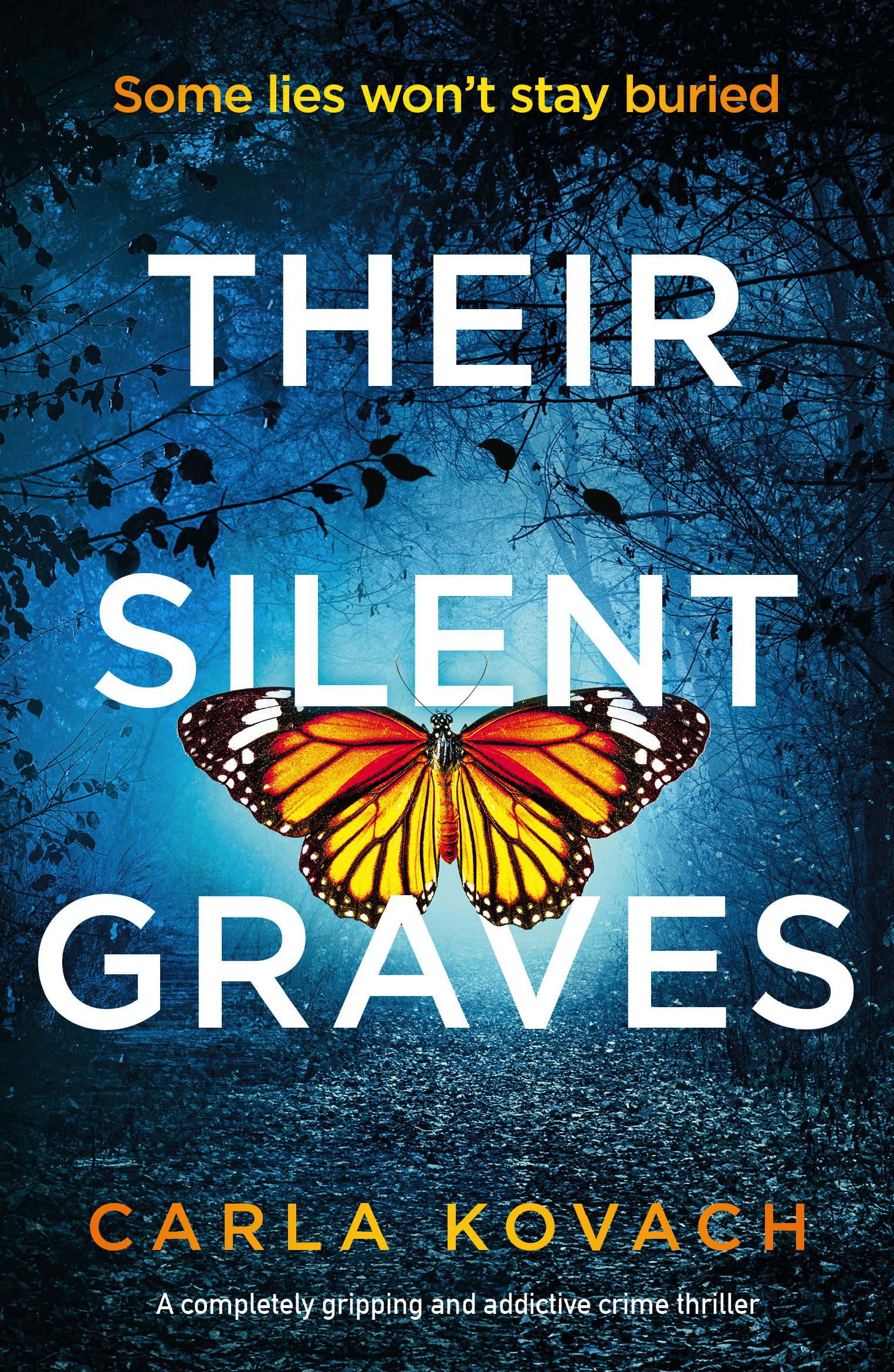 Their Silent Graves book cover