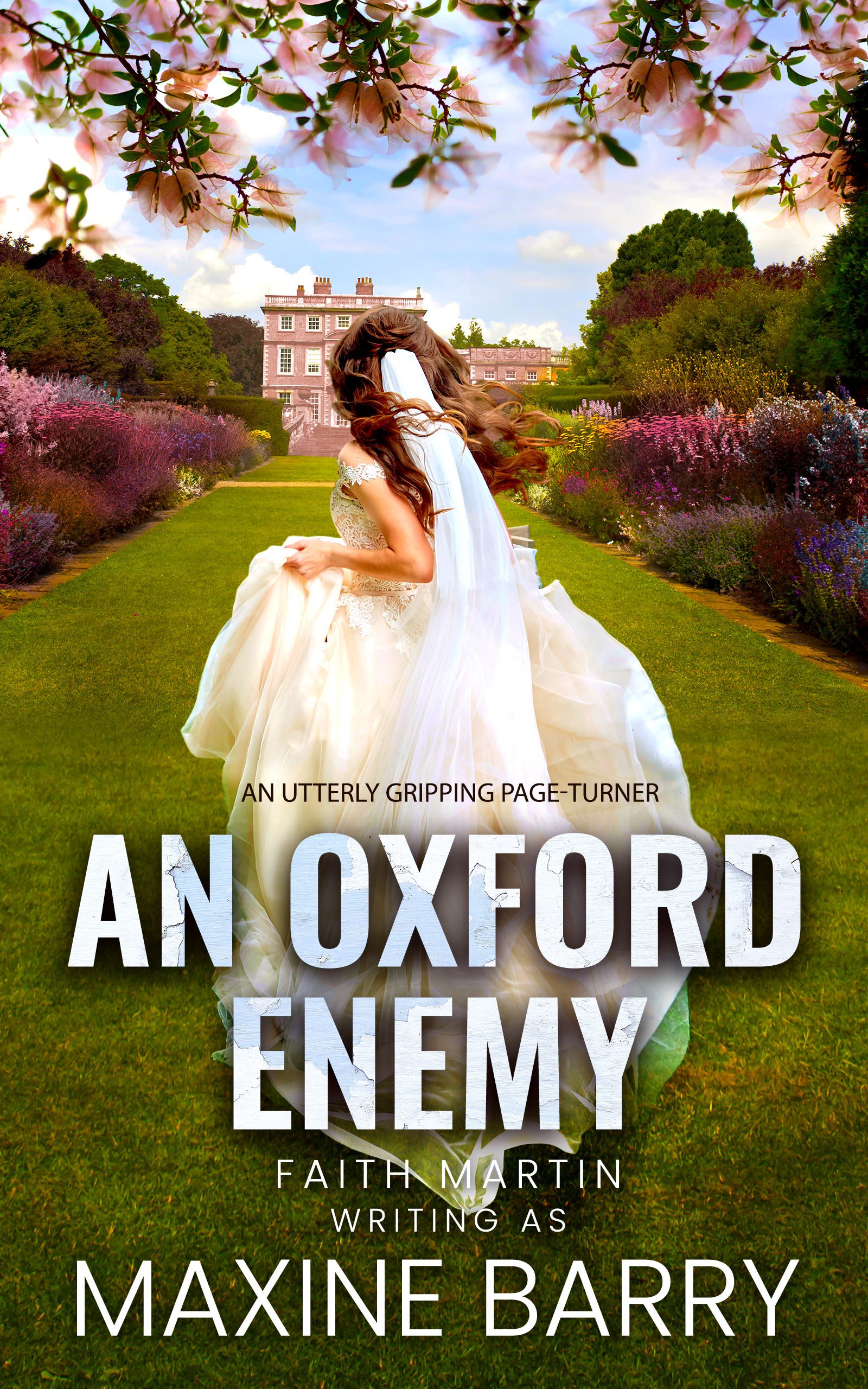 An Oxford Enemy book cover