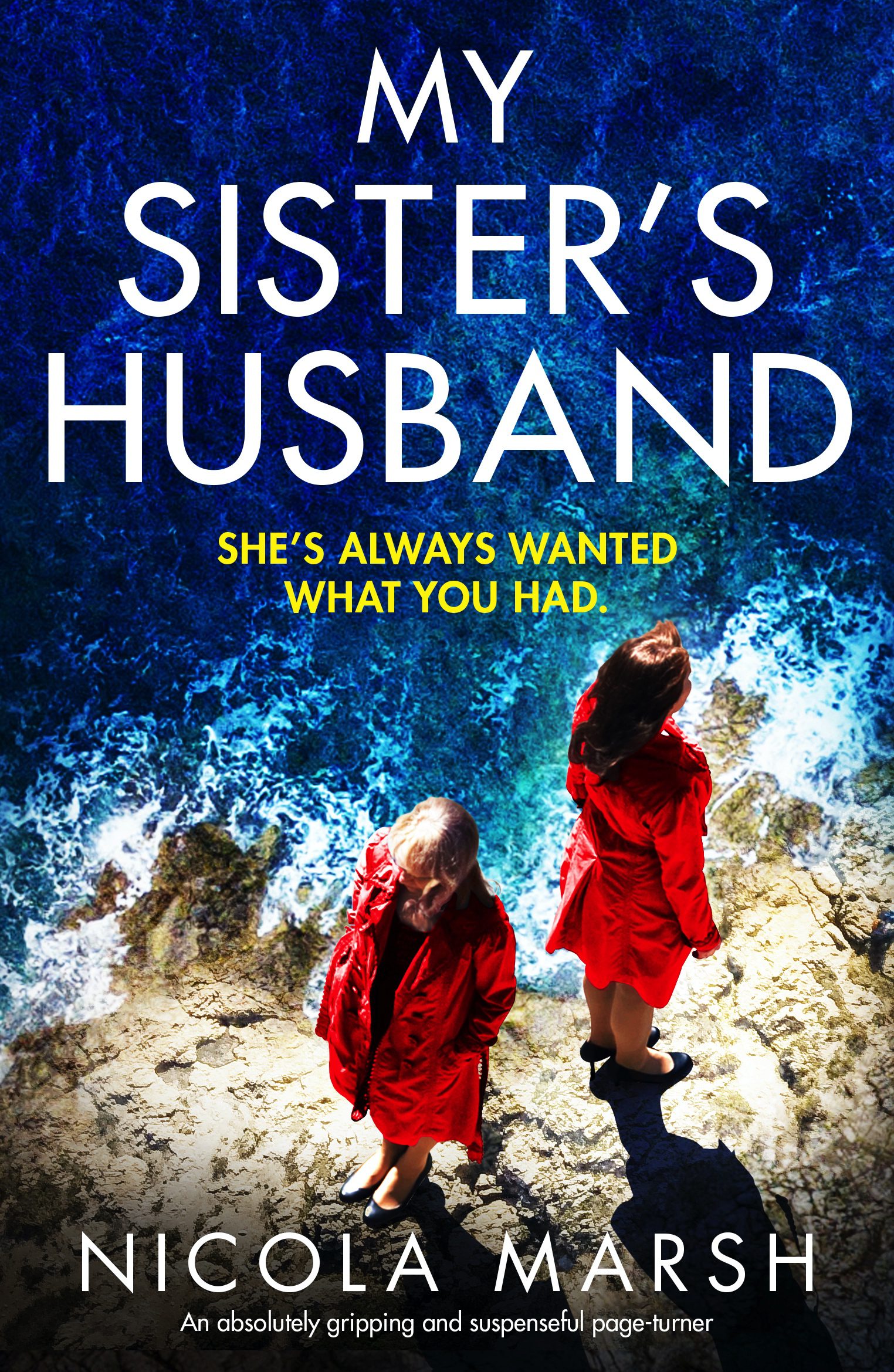 My Sister's Husband book cover