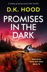 Promises in the Dark book cover