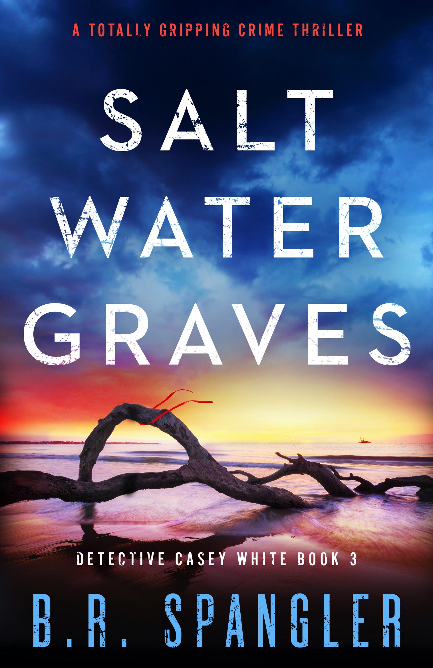 Saltwater Graves book cover