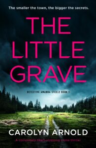 The Little Grave book cover