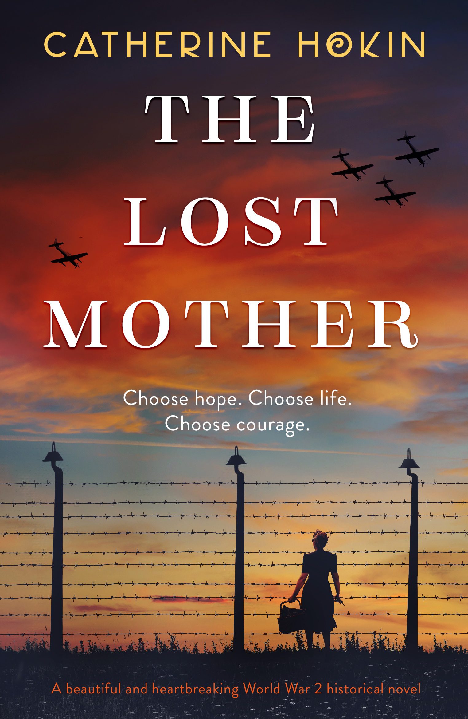 The Lost Mother book cover