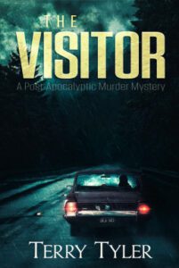 The Visitor book cover