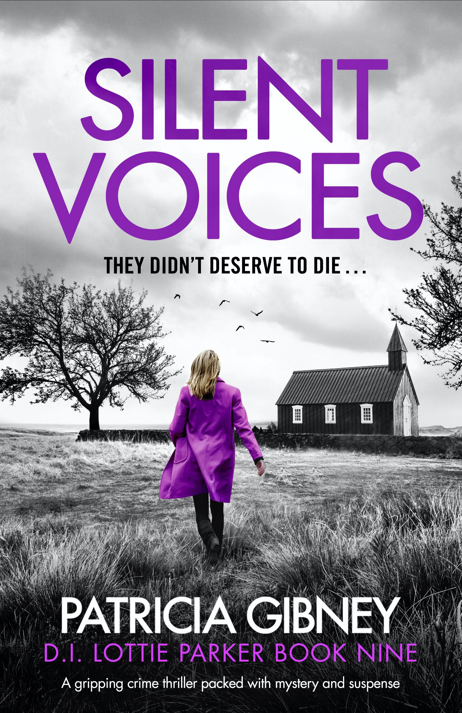 Silent Voices book cover