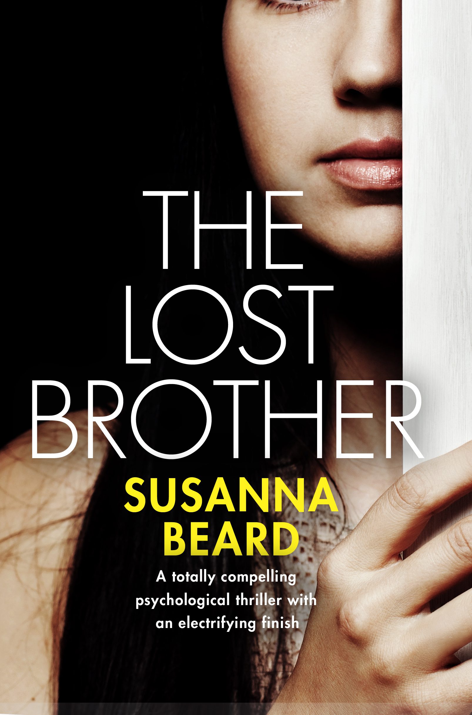 The Lost Brother book cover