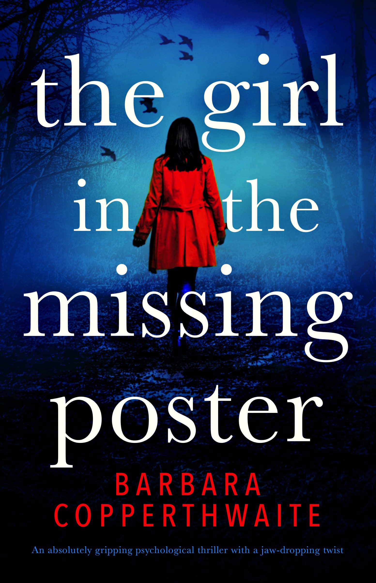 The Girl in the Missing Poster book cover