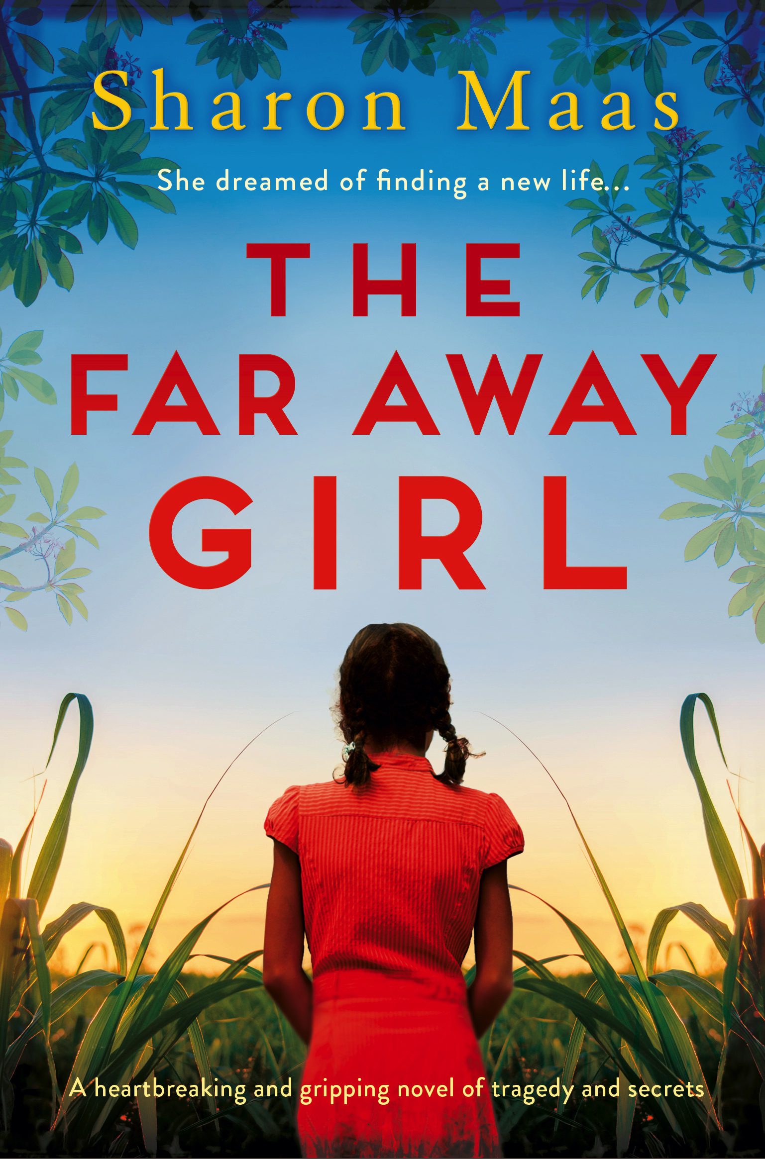 The Far Away Girl book cover