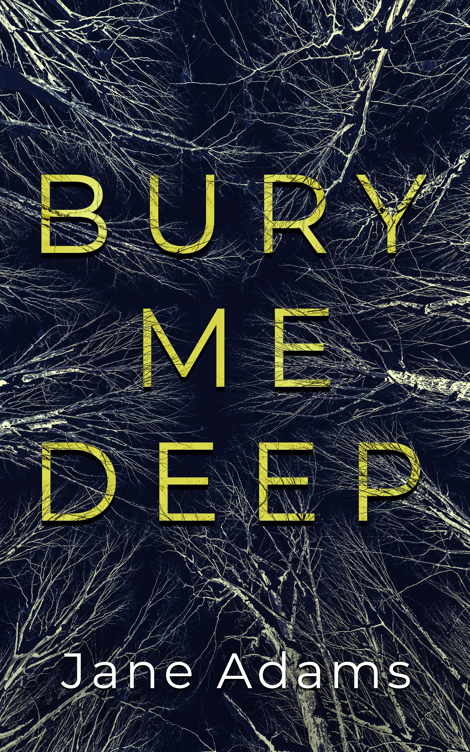 Bury Me Deep book cover