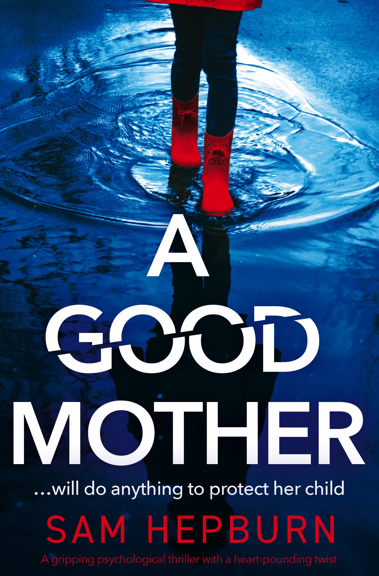 A Good Mother book cover