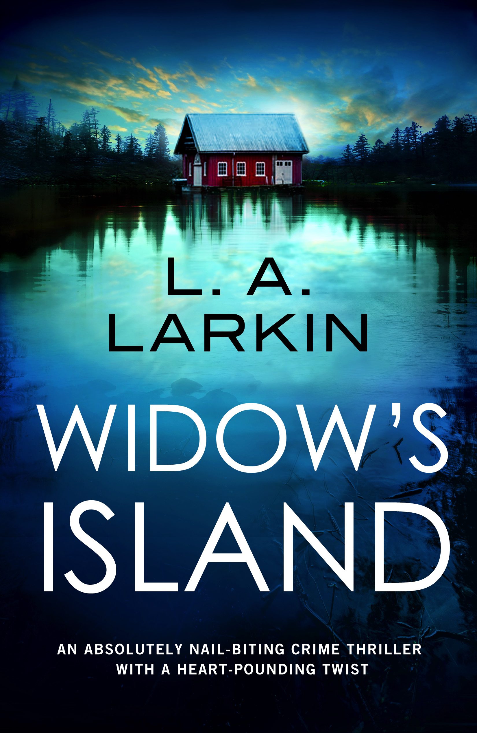 Widow's Island book cover