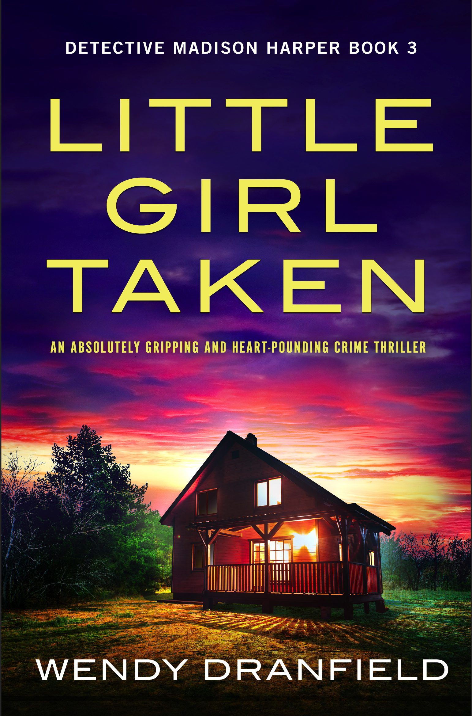 Little Girl Taken book cover