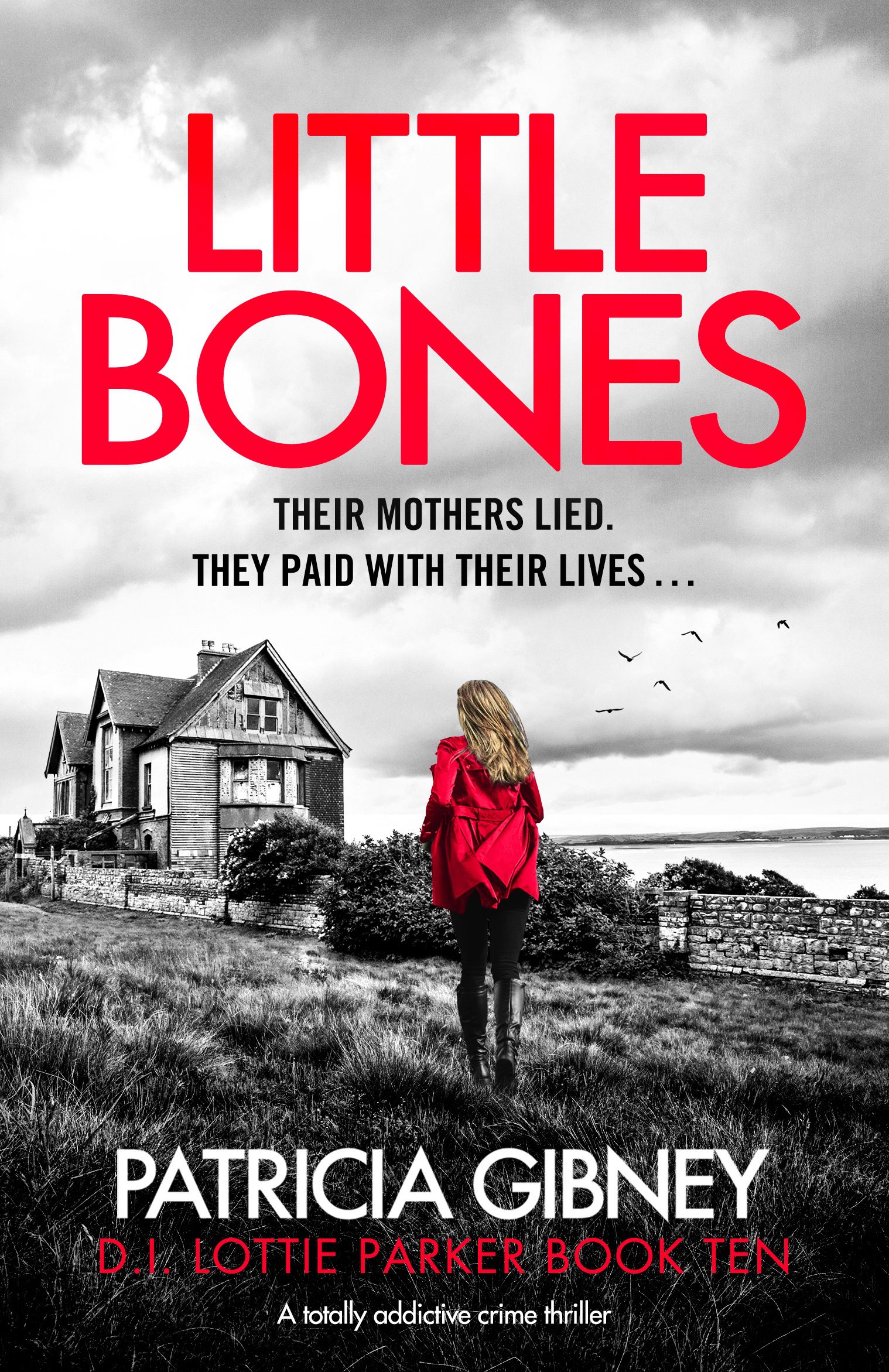 Little Bones book cover