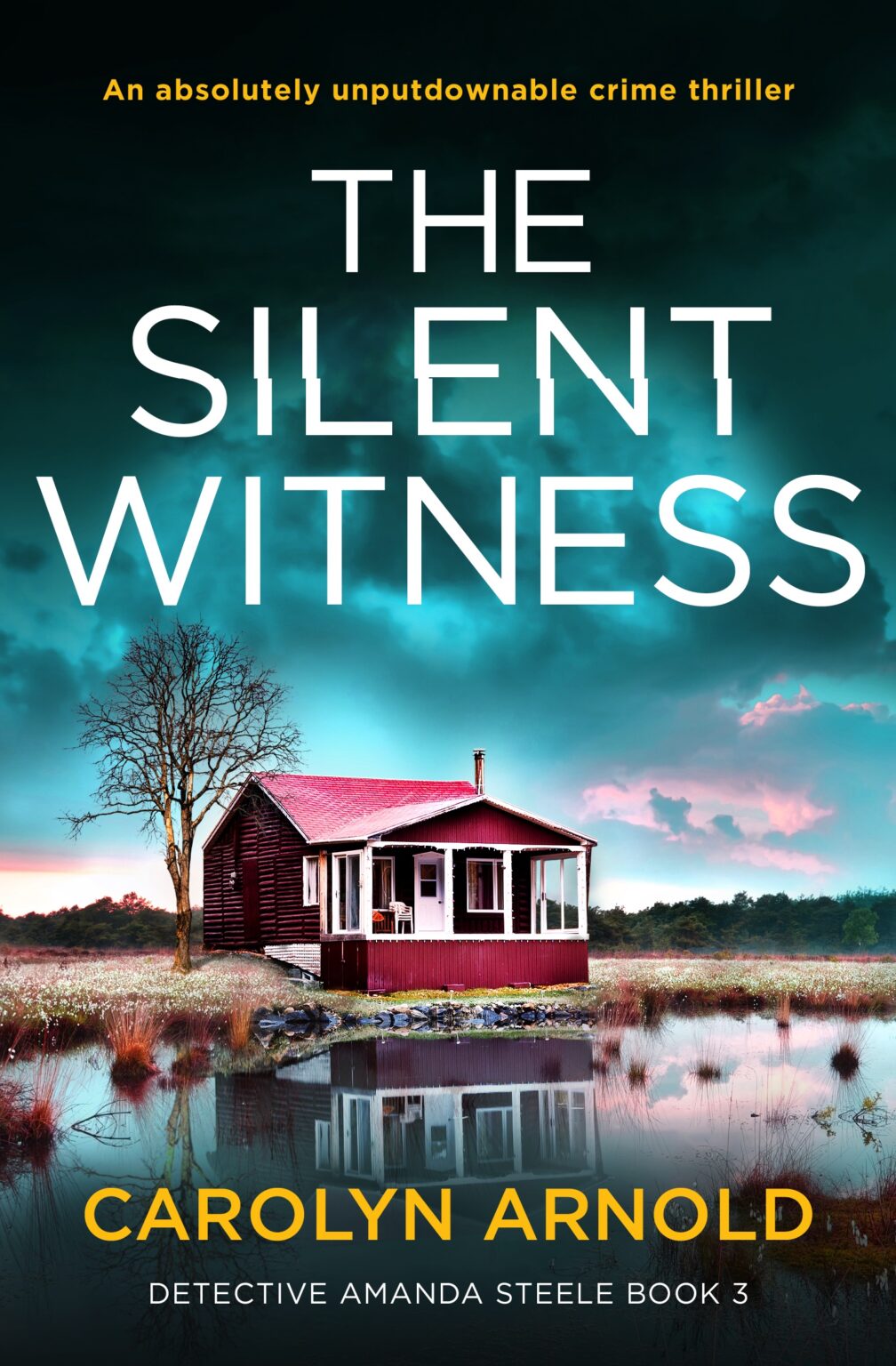 The Silent Witness, by Carolyn Arnold loopyloulaura