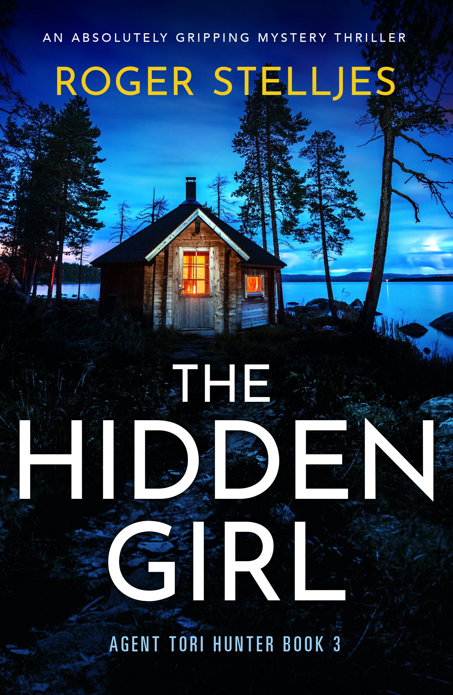 The Hidden Girl book cover