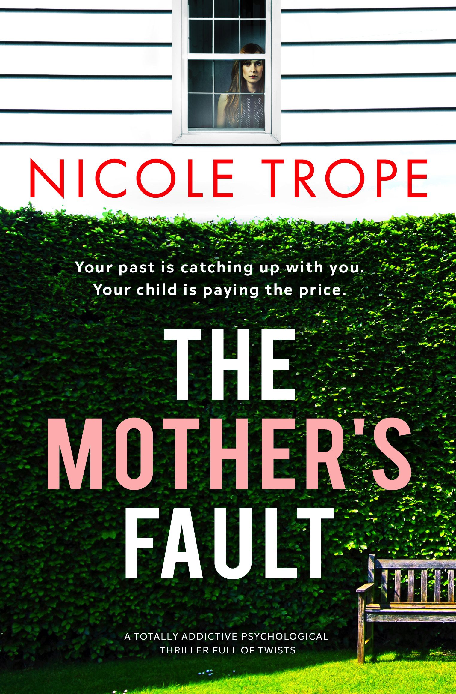 The Mother's Fault book cover