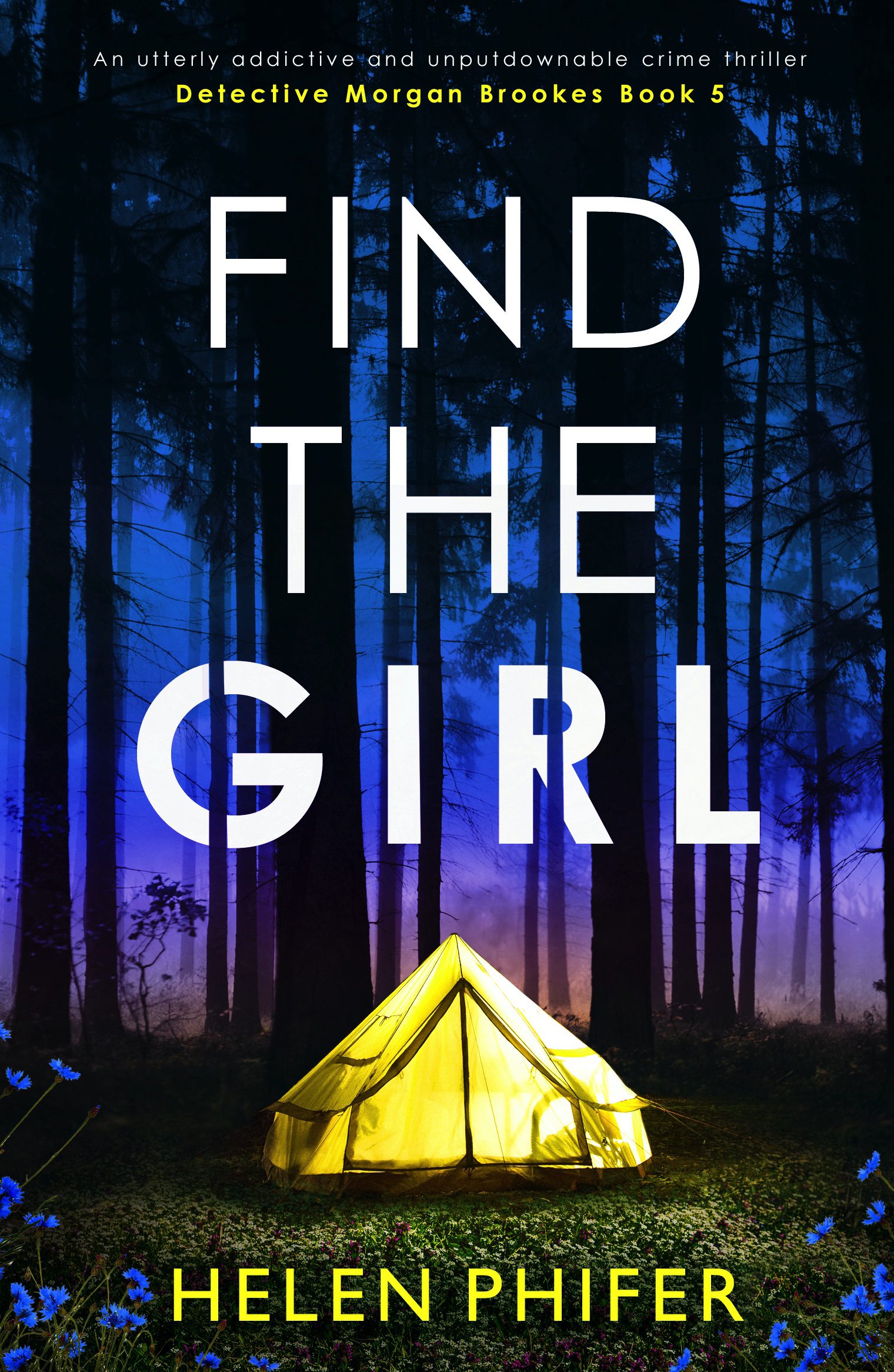 Find The Girl book cover