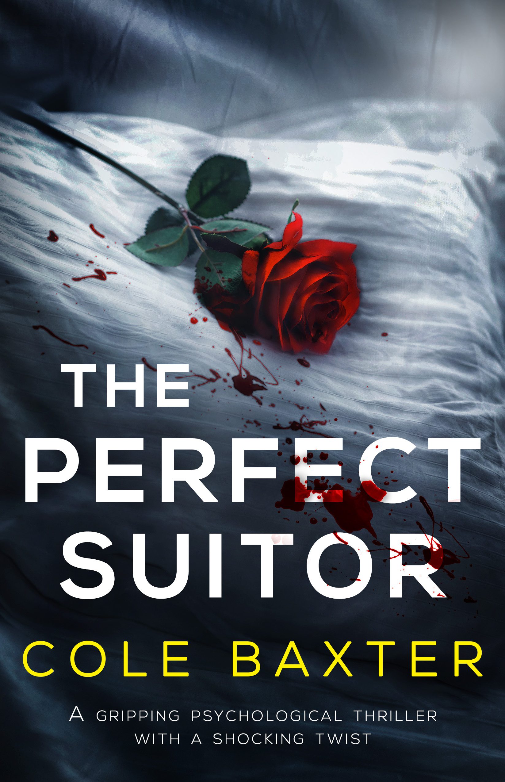 The Perfect Suitor book cover
