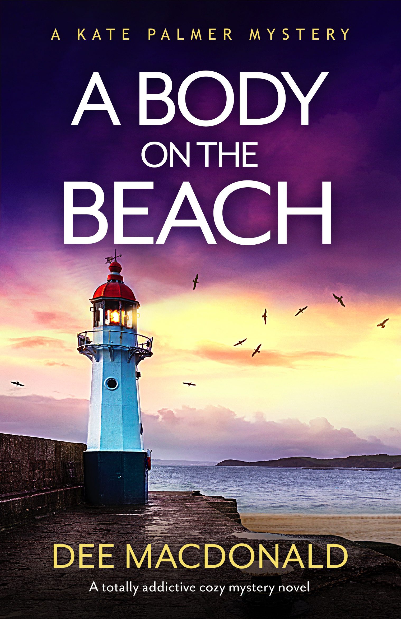 A Body on the Beach book cover