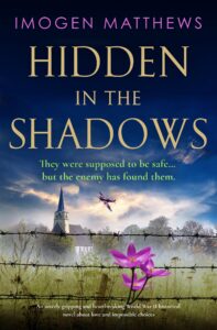 Hidden in the Shadows book cover