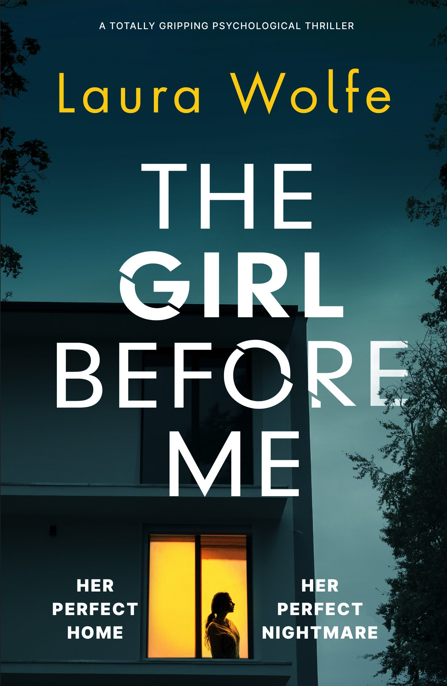 The Girl Before Me book cover