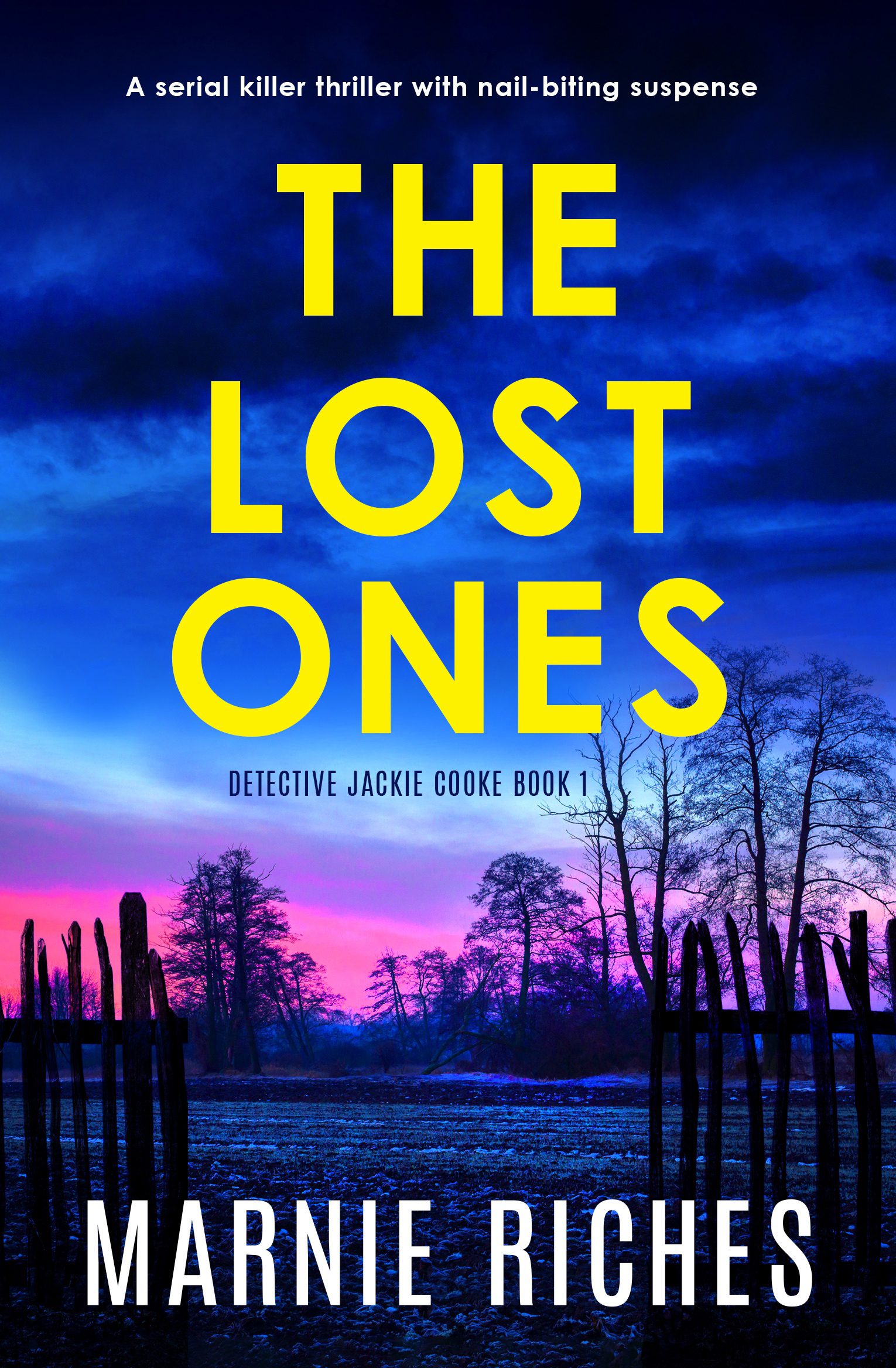 The Lost Ones book cover