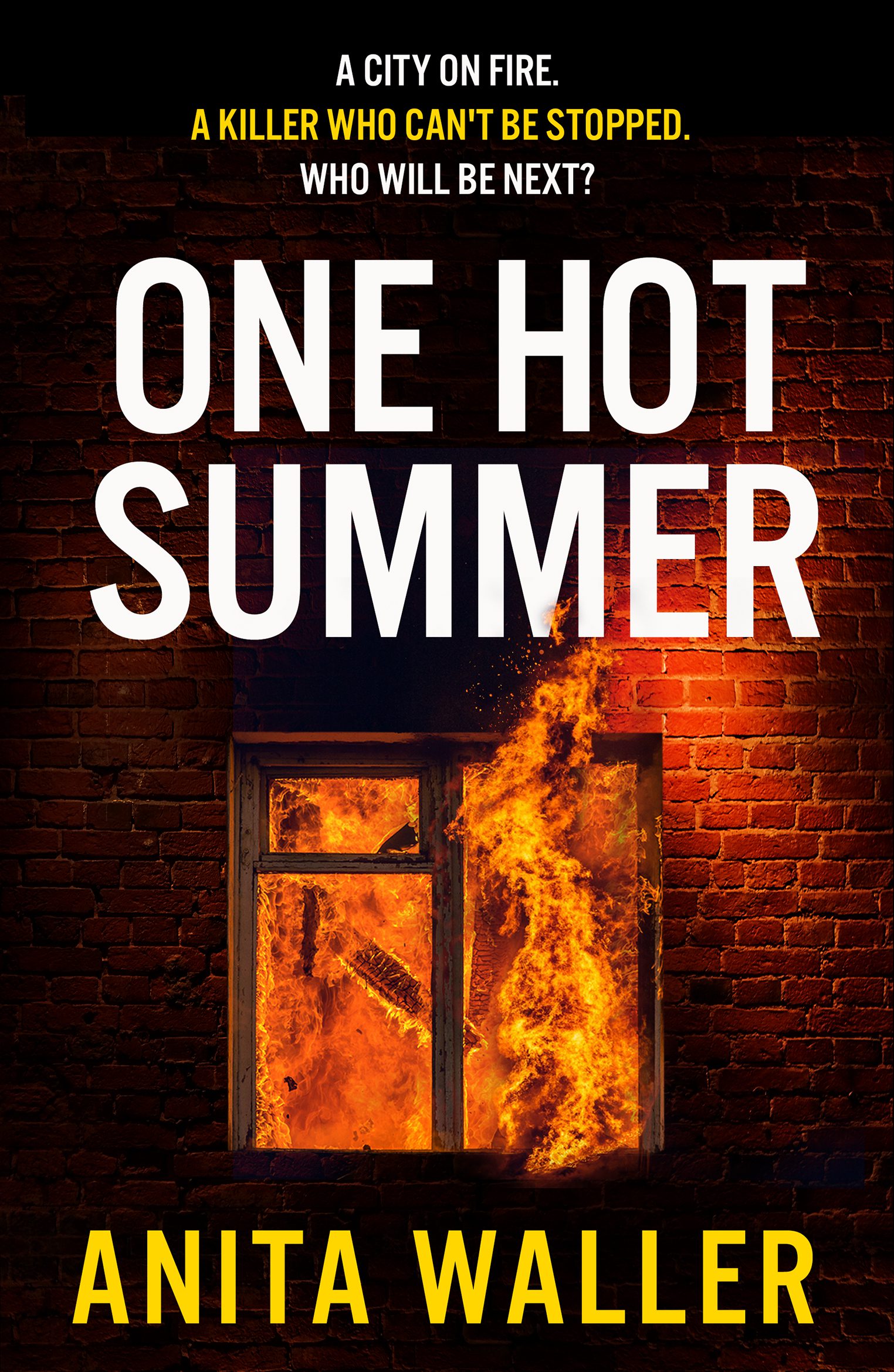 One Hot Summer book cover