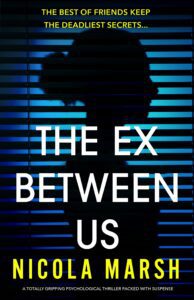 The Ex Between Us book cover