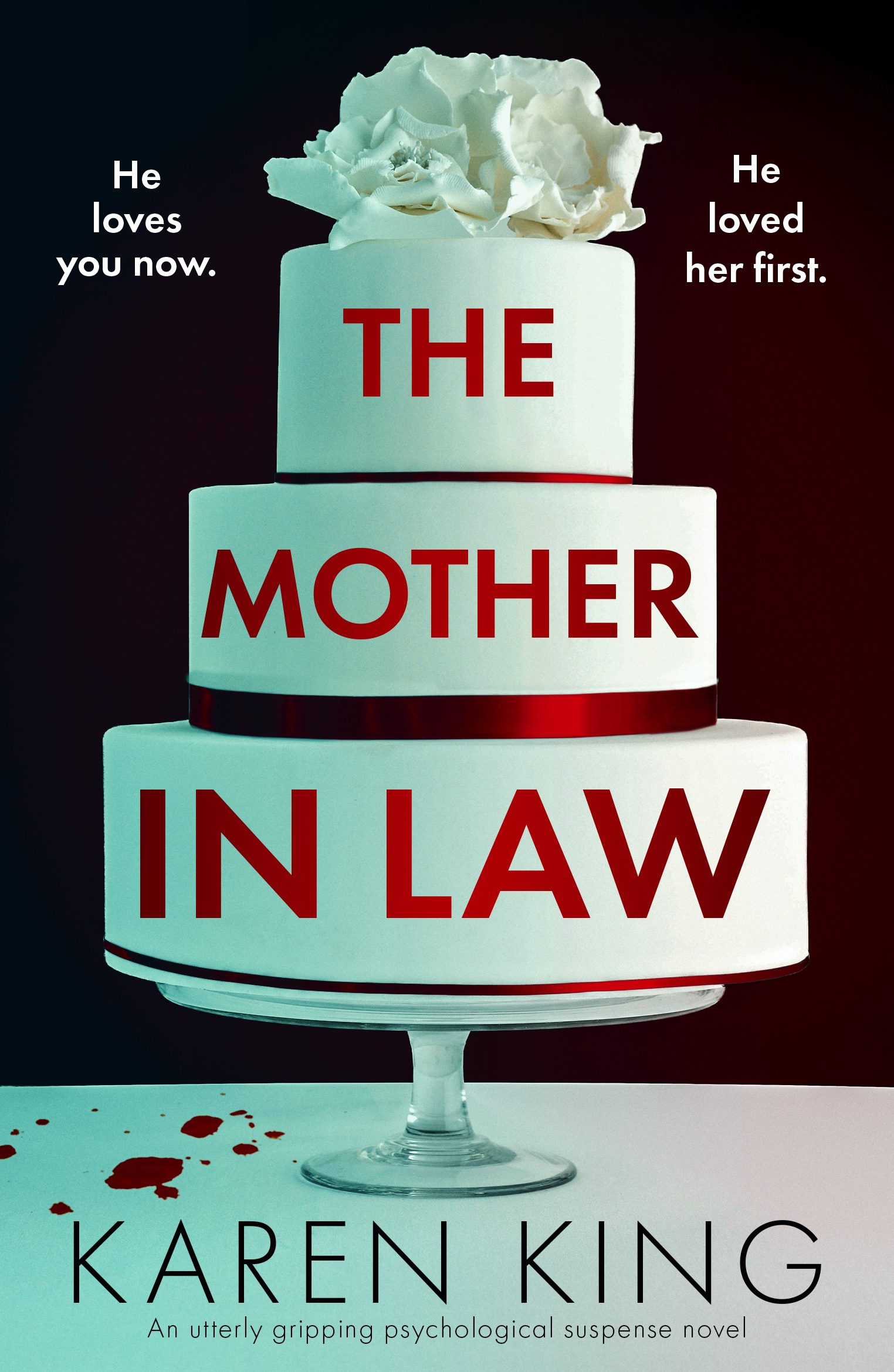 The Mother In Law book cover