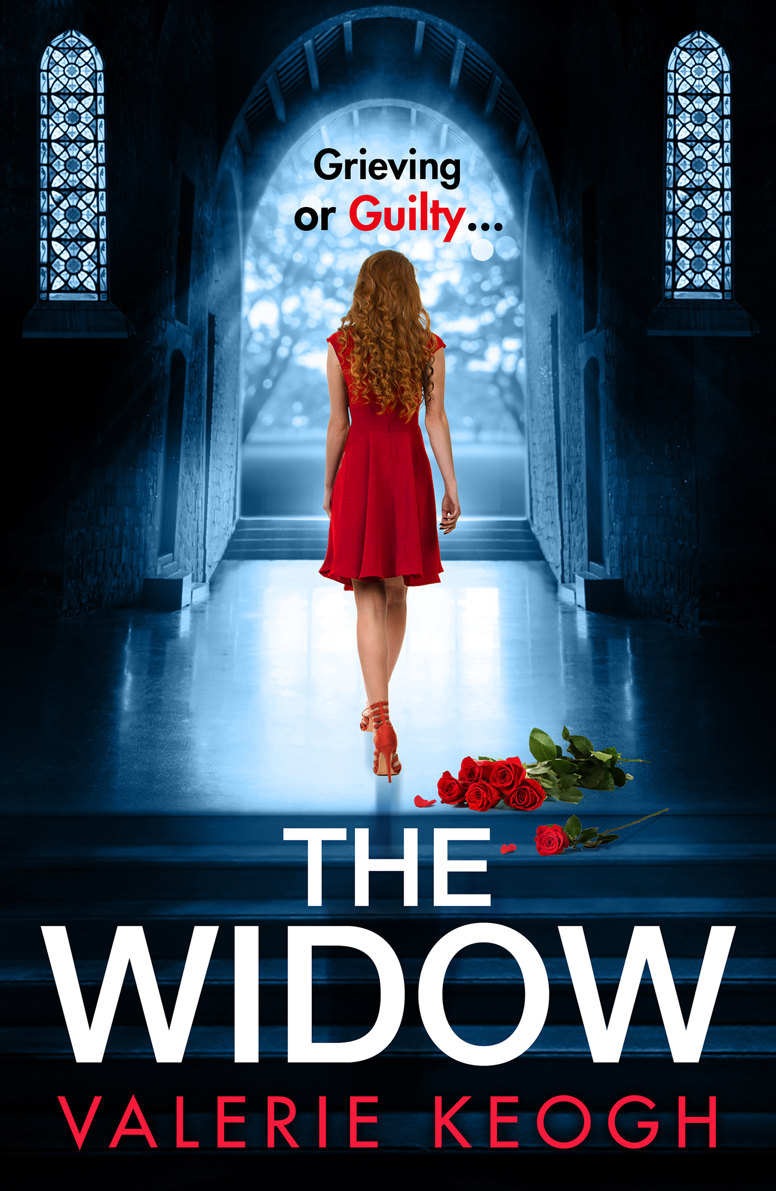 The Widow book cover