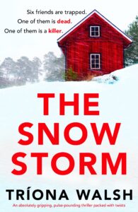 The Snow Storm book cover