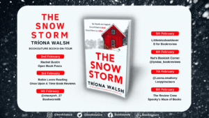 The Snow Storm blog tour banner