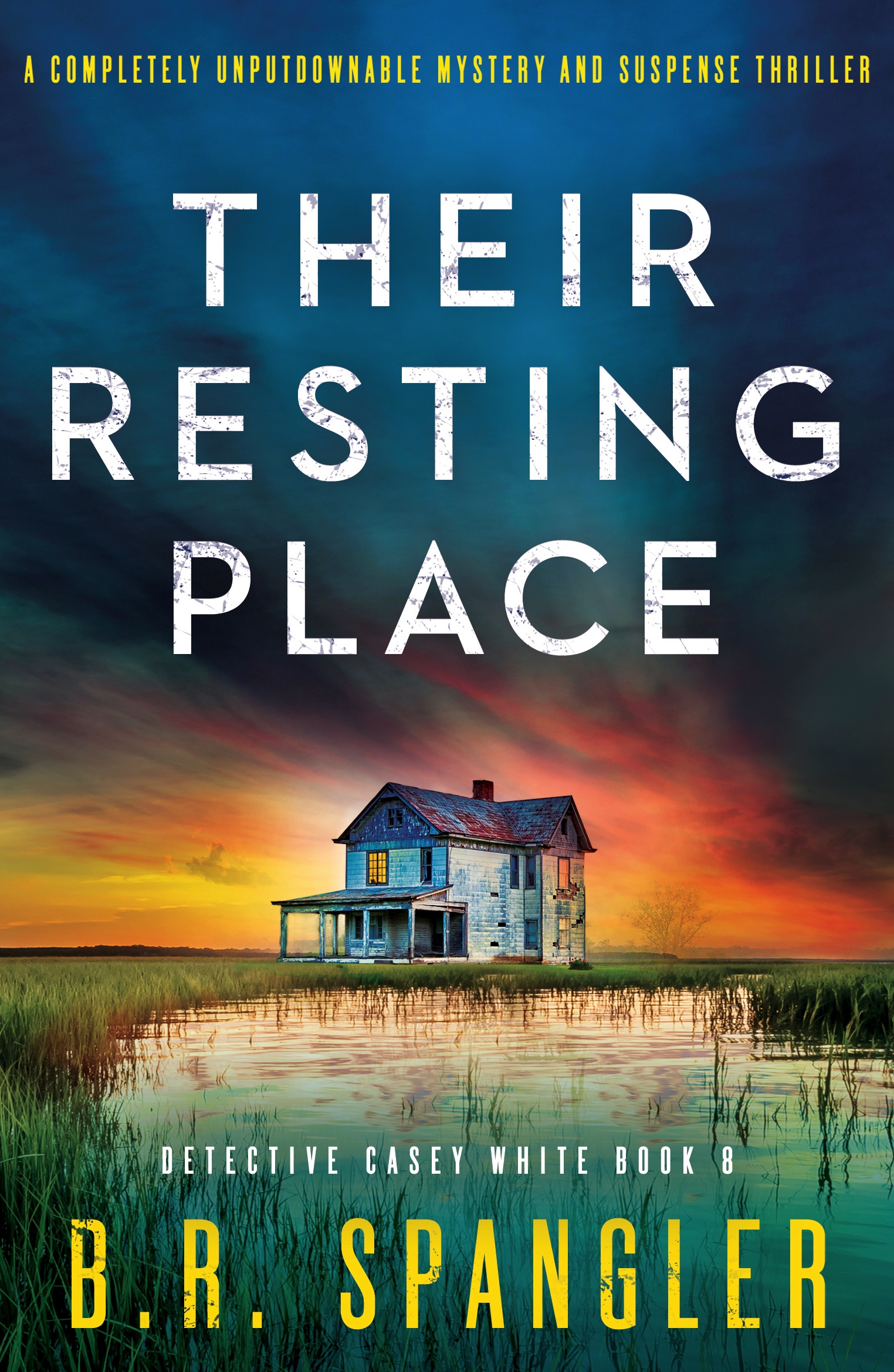 Their Resting Place book cover