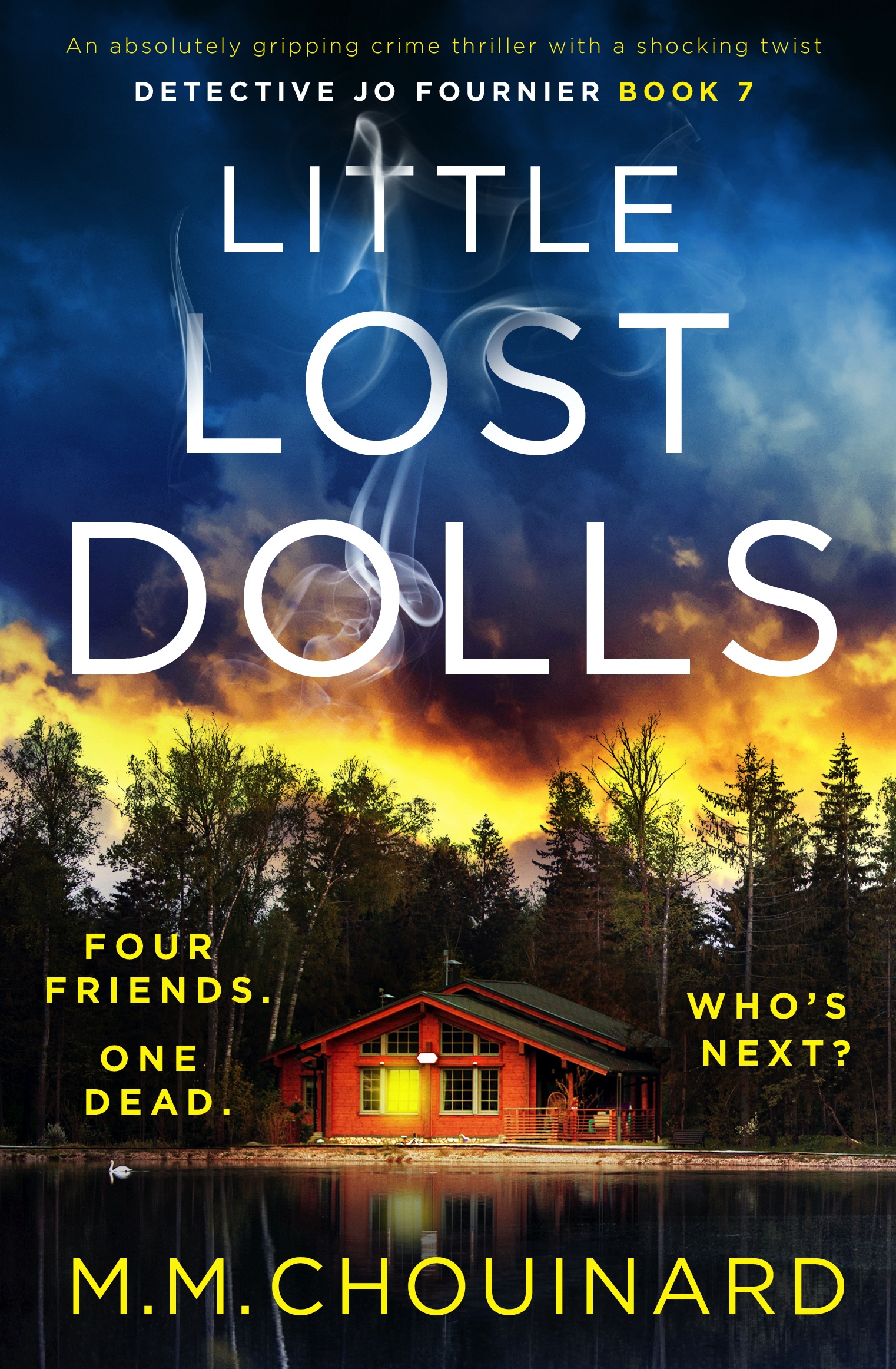 Little Lost Dolls book cover