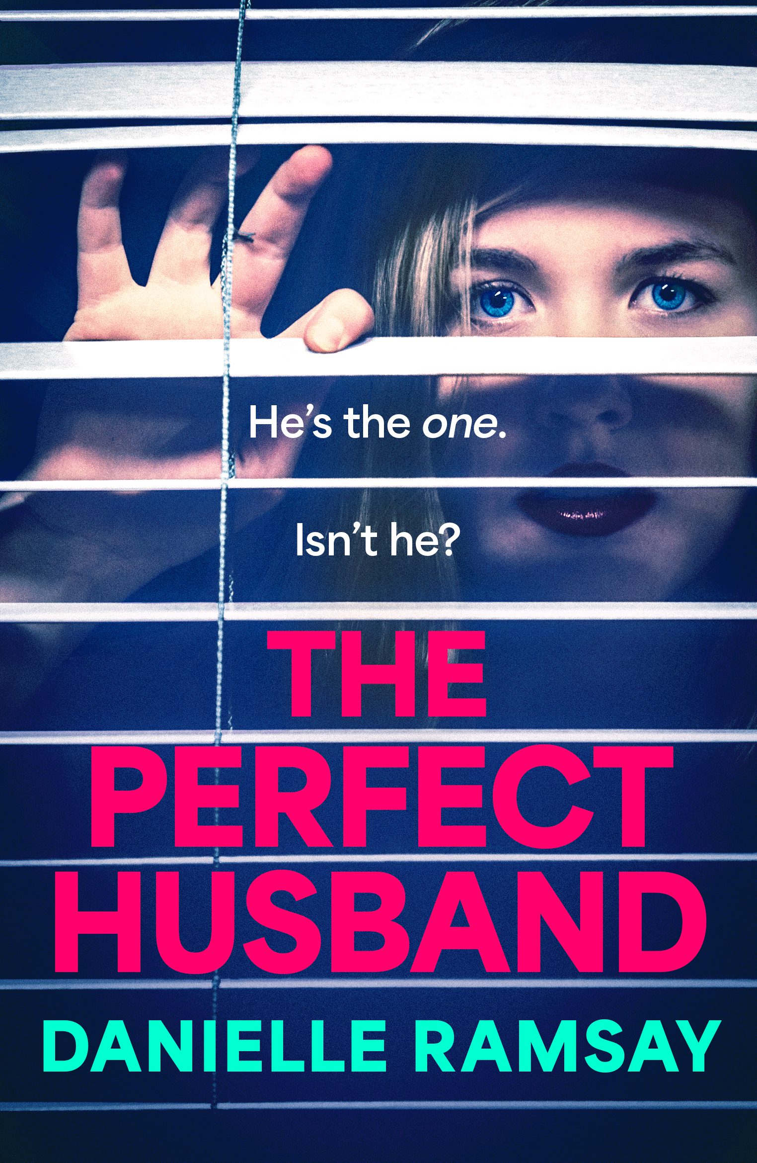 The Perfect Husband book cover