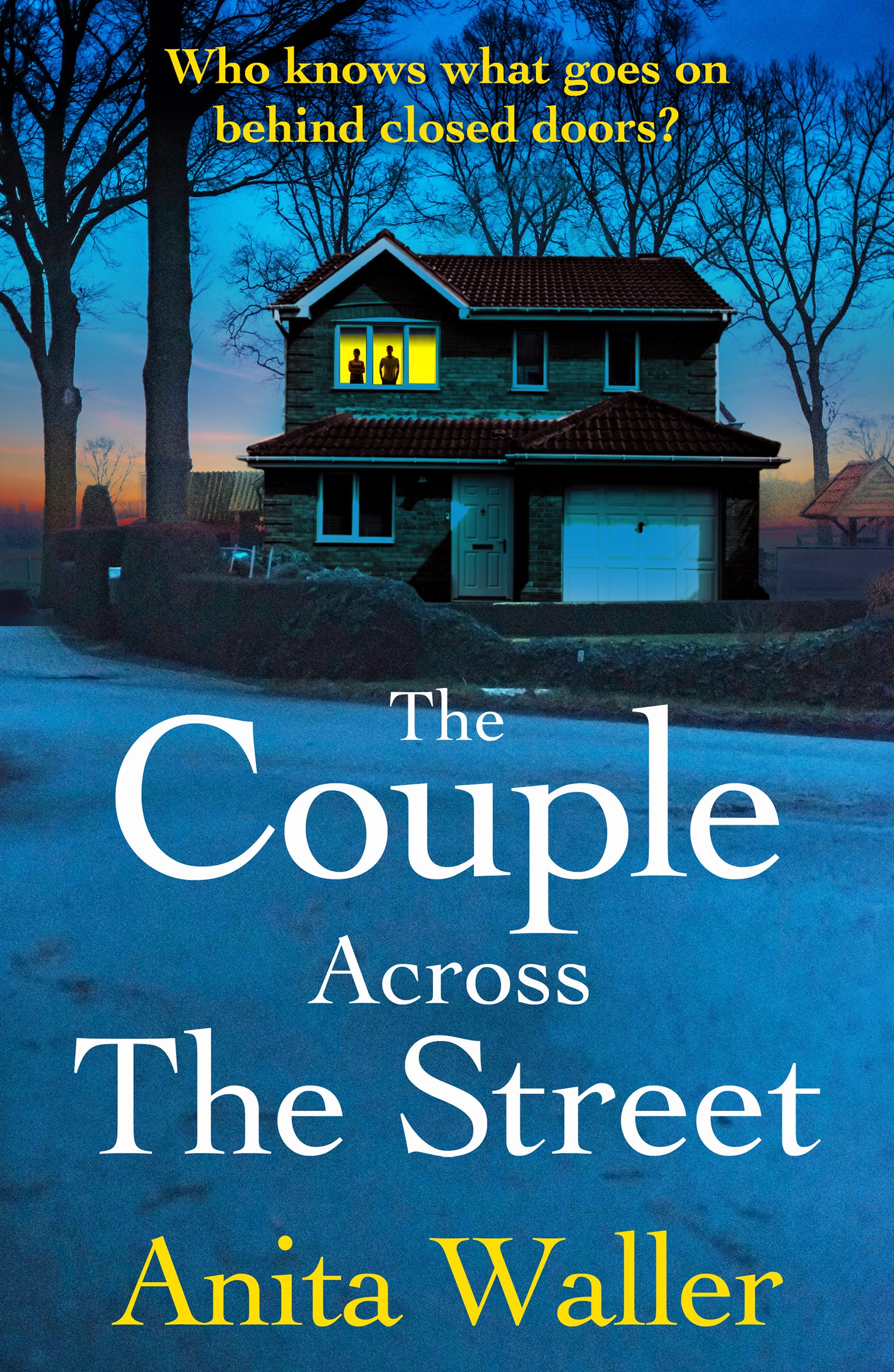 The Couple Across The Street book cover