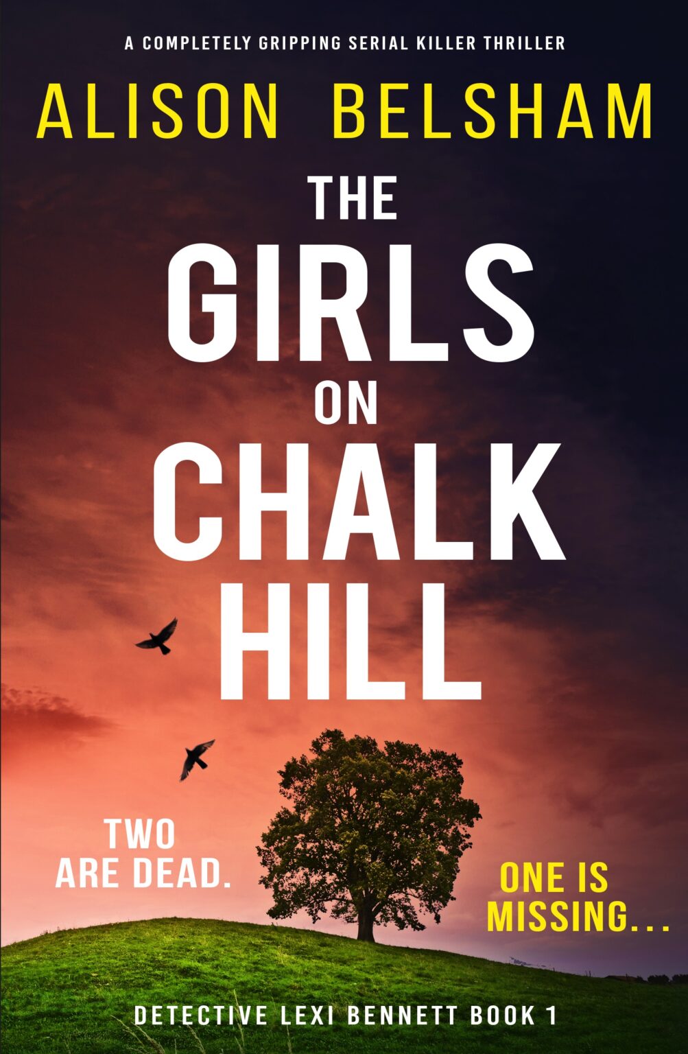The Girls on Chalk Hill, by Alison Belsham loopyloulaura