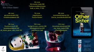 The Other Sister blog tour banner