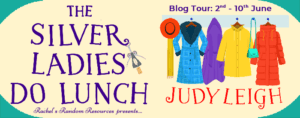 The Silver Ladies Do Lunch banner