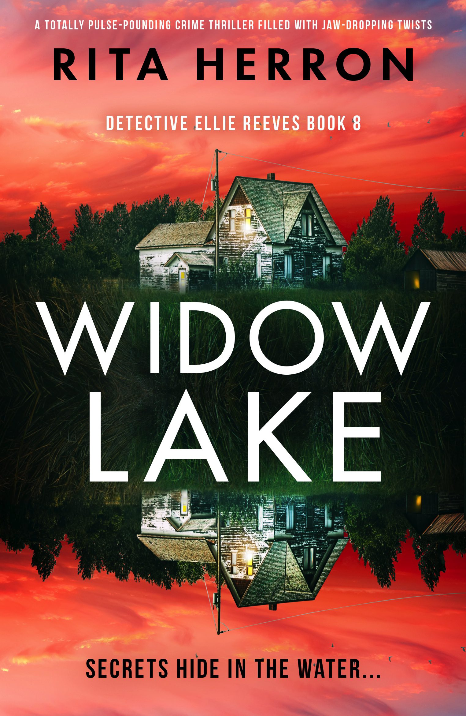 Widow Lake book cover